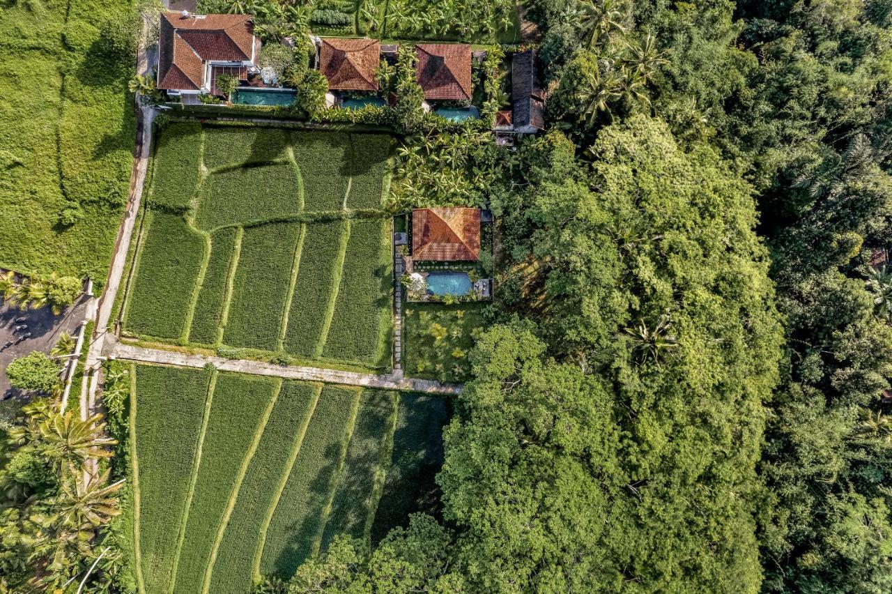Ratni Ubud Villa Экстерьер фото
